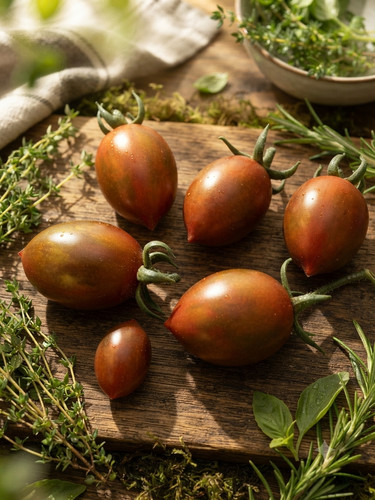 Tomate datterino nero 10 - tomate, (10