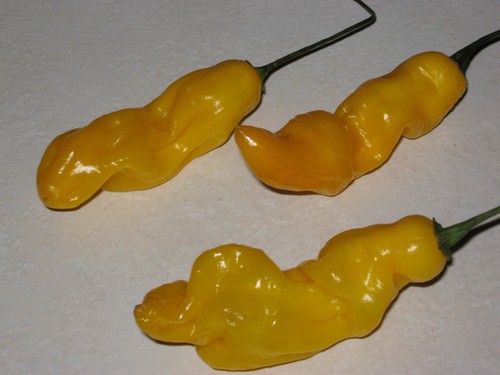 Habanero lemon 10 - -,